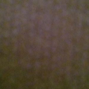 Meet your Posher, Roy dean